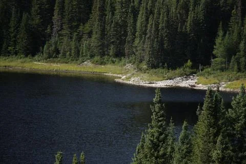 Lake surrounded by a forest 04 Stock Photos