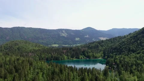 Lake surrounded by forest Video stock 178977394