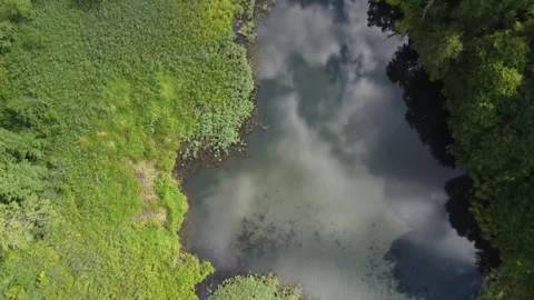 A lake surrounded by forest Stock Footage 253522558