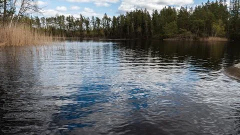 A lake surrounded by forest Stockfoto's
