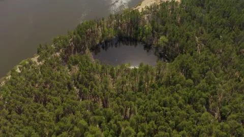 Lake surrounded by green spring forest.top view of a mysterious lake Video stock 130901639