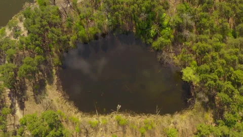 Lake surrounded by green spring forest.top view of a mysterious lake Vídeos de archivo 130902648