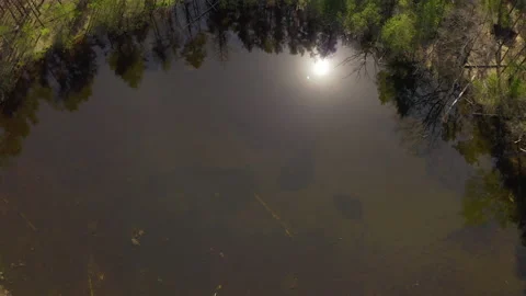 Lake surrounded by green spring forest.top view of a mysterious lake Video stock 130902737