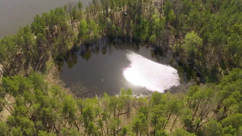 Lake surrounded by green spring forest.top view of a mysterious lake Video stock 130903582