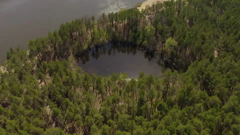 Lake surrounded by green spring forest.top view of a mysterious lake Video stock 130904521