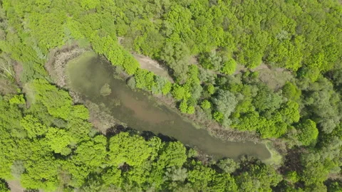 Lake surrounded by green spring forest.top view of a mysterious lake Stock Footage 131437772