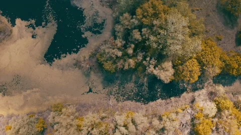 Lake surrounded by green spring forest.top view of a mysterious lake Stock Footage 131437879
