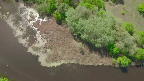 Lake surrounded by green spring forest.top view of a mysterious lake Stock-Footage 131439586