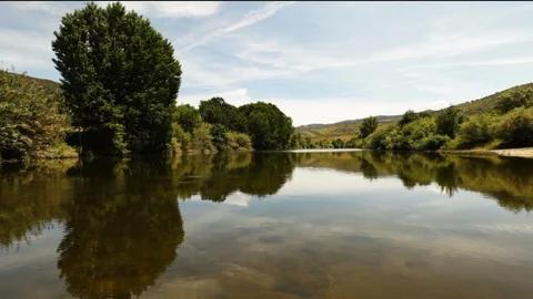 Lake Surrounded by Green Trees Stock Footage 109155602