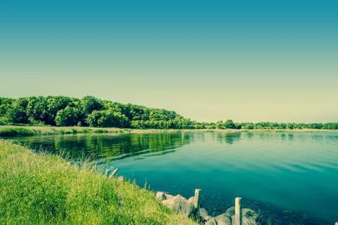 Lake surrounded by green trees Stock Photos
