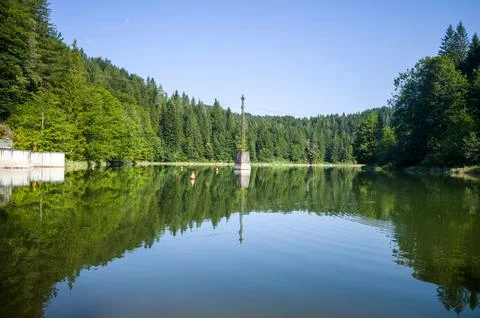 Lake Surrounded by Green Trees Stock Photos