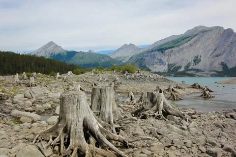 Lake surrounded by mountains Laugheed Provincial park Canada Stock Photos