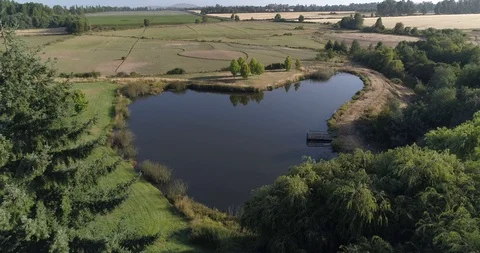 Lake surrounded by nature Stock Footage 124858559