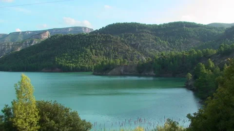 Lake surrounded by pine forests serene background Stock Footage 50084232