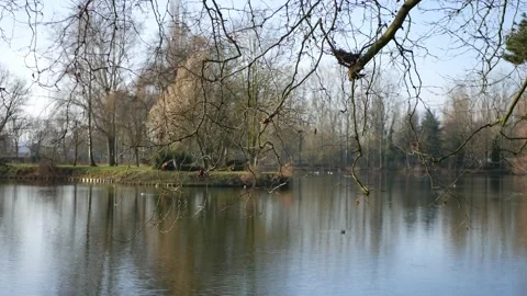 A lake surrounded with tree and branches against the sky in the park Stock-Footage 185556921