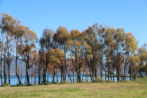 The lake is surrounded by trees, and the background is sky blue. Stock Photos