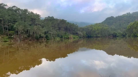 Lake surrounded by trees and a mountain in background Stock Footage 232212107
