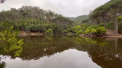 Lake surrounded by trees and a mountain in background Stock Footage 232212237