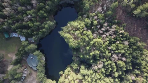 Lake surrounded by trees. Beautiful landscape in aerial drone shot. Stock Footage 240481483