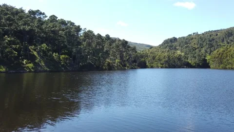 Lake surrounded by trees i Stock Footage 154406214