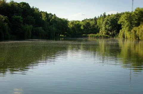 Lake surrounded with trees Stock Photos