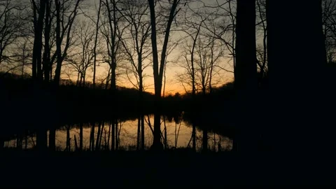 A lake surrounded by trees with a sunset in the background Stock Footage 236852904
