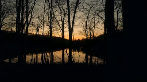 A lake surrounded by trees with a sunset in the background Stock Footage 236852966
