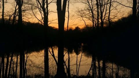 A lake surrounded by trees with a sunset in the background Stock Footage 236852968