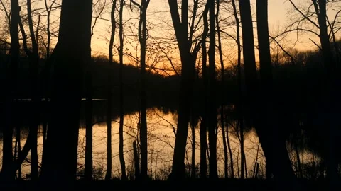 A lake surrounded by trees with a sunset in the background Stock Footage 236852972
