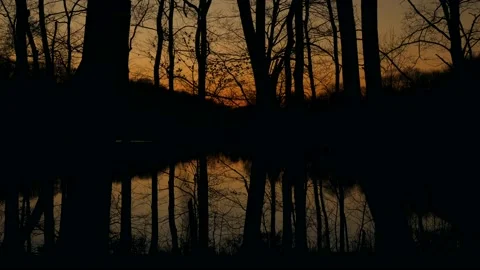 A lake surrounded by trees with a sunset in the background Stock Footage 236852973