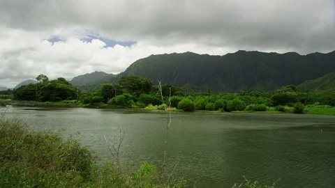 Lake surrounded by tropical vegetation, rainforest mountains background. Stock Footage 80512206