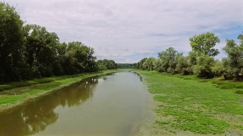 Lake in the swamp Stock Footage 79032450