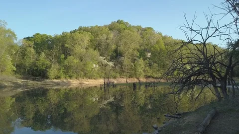 Lake swamp Stockbeeldmateriaal 107133370