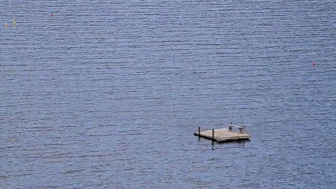Lake swimming dock Stock Footage 82474085