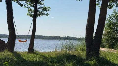 Lake swing view Stock Footage 339419608