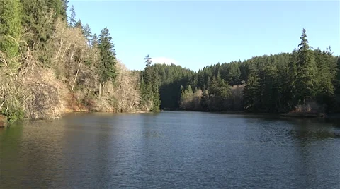 Lake Sylvia State Park in Fall Stock Footage 44439124