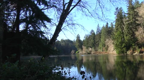 Lake Sylvia State Park Washington Olympic Peninsula 動画素材 44440331