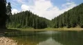 Lake Synevir in Carpathian Mountains, Ukraine HD Footage