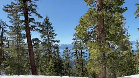 Lake Tahoe Video stock 151300927