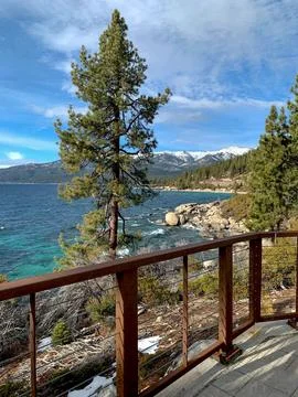 Lake Tahoe Viewpoint with Pine Tree Stock Photos