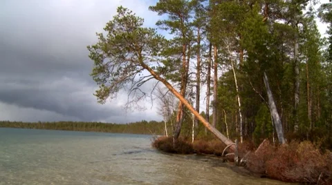 Lake in a taiga 1 Stock Footage 7754587
