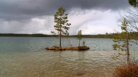 Lake in a taiga 2 Stock Footage 7754688