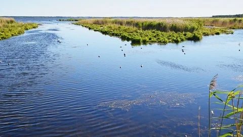 Lake Takern Stock Footage 95276590