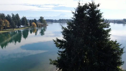 Lake Taps Trees Stock Footage 105247266