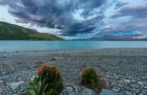 Lake Tekapo Foto stock