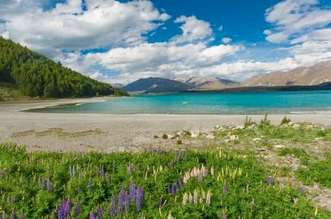 Lake Tekapo Foto stock