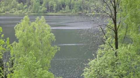 Lake Teletskoye Video stock 50825583