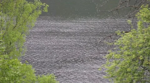 Lake Teletskoye Stock Footage 50825821