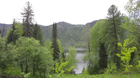 Lake Teletskoye Stock Footage 50825947