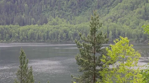 Lake Teletskoye Stock Footage 50826484